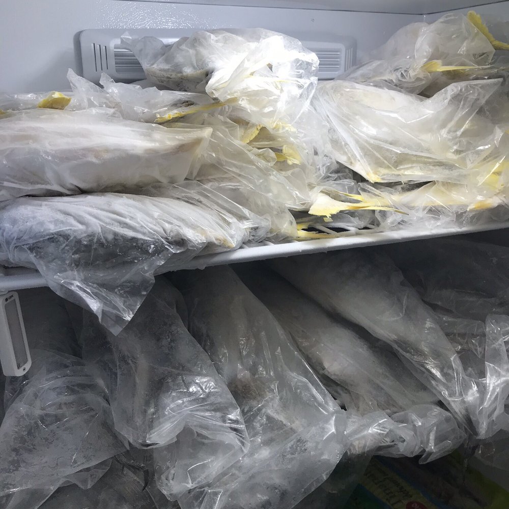 Ira's Asian Market - a refrigerator full of frozen food - International Grocery Near Me - North Bend, Oregon Ira's Asian Market - a refrigerator full of frozen food - International Grocery Near Me - North Bend, Oregon