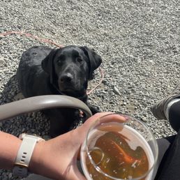 Cutest Brewery mascot Cutest Brewery mascot