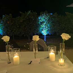 Night time view of the vineyard from my seat