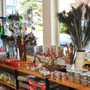 Photo of Paws & Fins Pet Shop