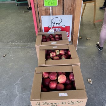 Verger le Gros Pierre - More large format apples - Fruits & Veggies Near Me - Compton, Quebec