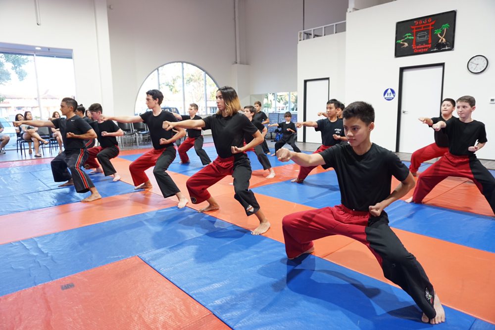 Dojo Training Center Logo