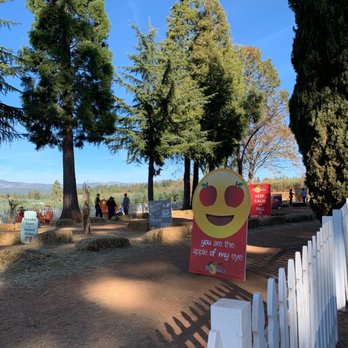 Boa Vista Orchards - So cute! - Fruits & Veggies Near Me - Placerville, California