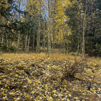 The Crags Campground - Campgrounds Near Me - Divide, Colorado The Crags Campground - Campgrounds Near Me - Divide, Colorado