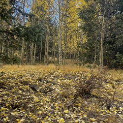 The Crags Campground