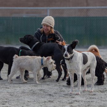 Here, Doggy! - 'sup dogs? - Pet Groomers Near Me - South San Francisco, California Here, Doggy! - 'sup dogs? - Pet Groomers Near Me - South San Francisco, California