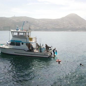 Lineage Charters - Great boat. Setup awesome and comfortable with all the gear. - Fishing Near Me - San Diego, California Lineage Charters - Great boat. Setup awesome and comfortable with all the gear. - Fishing Near Me - San Diego, California