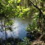 Photo of USF Riverfront Park