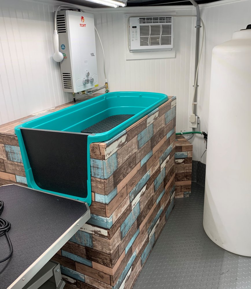 GUCCI POOCH MOBILE Updated October 2024 Cape Coral, Florida Pet