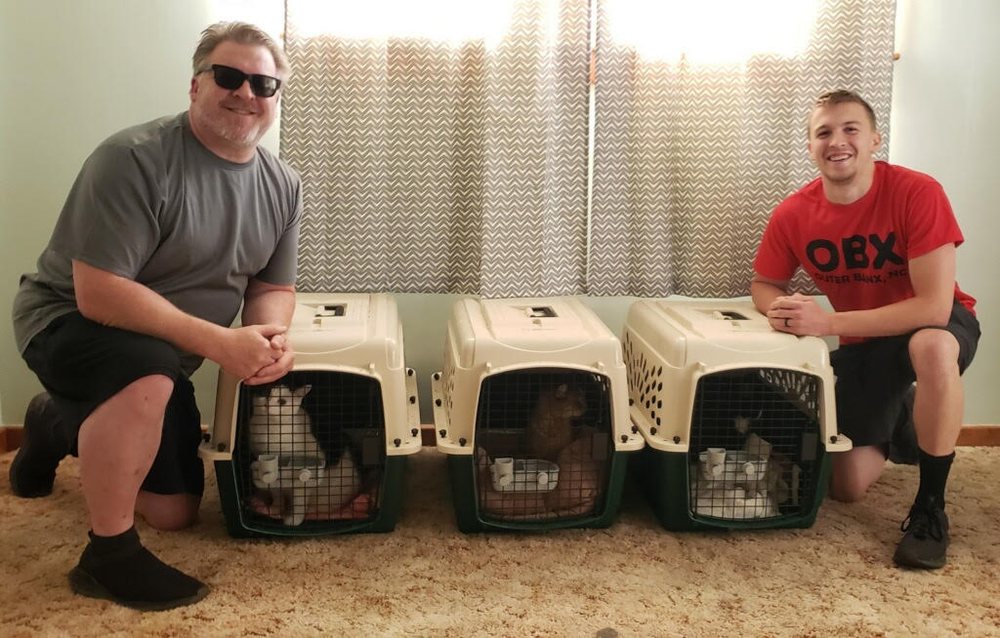 No Boarders Pet/Animal Care & Transport - pet boarding facility in Acme, PA
