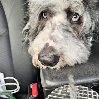 PetSmart - Pet Stores Near Me - Sacramento, California