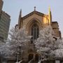 Photo of Boston University
