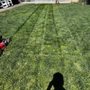 Photo of C-Ray Landscapes