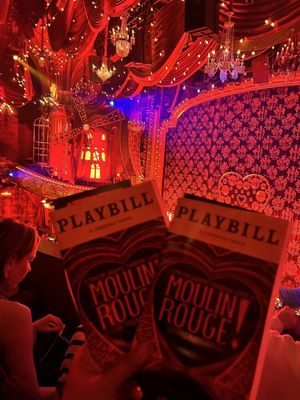 Al Hirschfeld Theatre by null