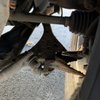Gemma's Automotive & Towing Service gift card