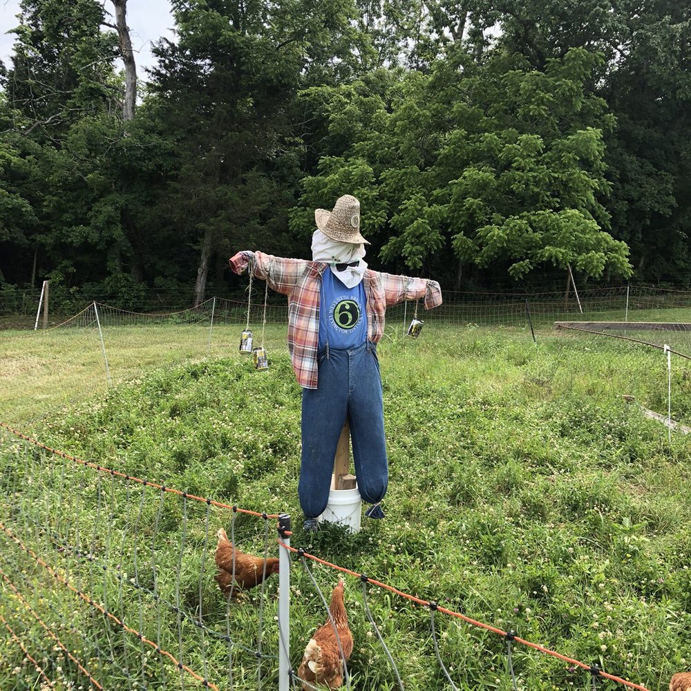 West Sixth Farm - Resident - Attraction Farms Near Me - Frankfort, Kentucky West Sixth Farm - Resident - Attraction Farms Near Me - Frankfort, Kentucky