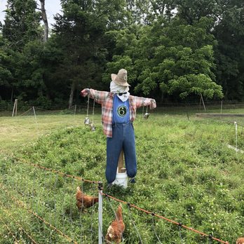 West Sixth Farm - Resident - Attraction Farms Near Me - Frankfort, Kentucky West Sixth Farm - Resident - Attraction Farms Near Me - Frankfort, Kentucky