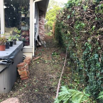 Rodriguez Tree Service - Excellent job at trimming our very thick ivy.  Thanks guys! - Tree Services Near Me