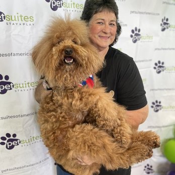 PetSuites Round Rock - Josh! - Pet Boarding Near Me - Round Rock, Texas PetSuites Round Rock - Josh! - Pet Boarding Near Me - Round Rock, Texas