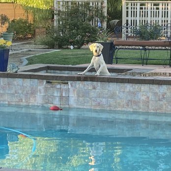 Naturescape Pools - Before - Pool & Hot Tub Service Near Me - Perris, California