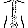 Photo of Lane Chiropractic and Rehabilitation