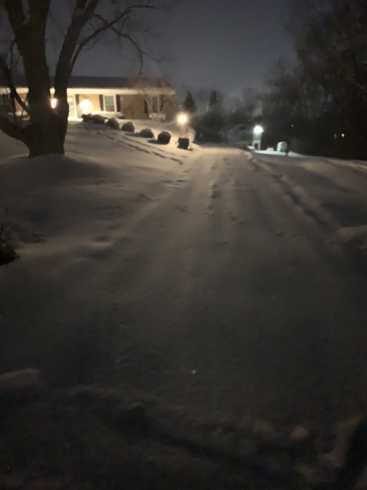 Hodges Renovations - tree service in Cincinnati, OH