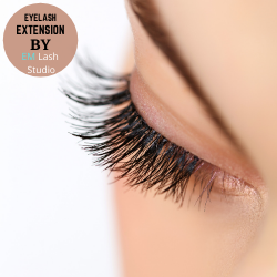 EM Lash & Brow Studio Logo