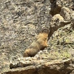 RMNPhotographer Tour