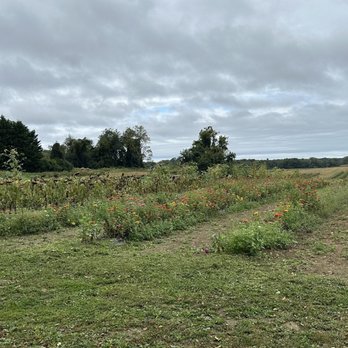 Youngs Farm - Fruits & Veggies Near Me - Glen Head, New York