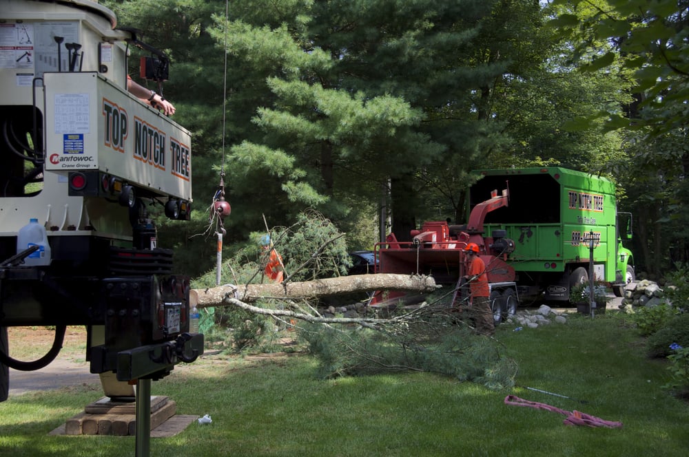 TOP NOTCH TREE Updated September 2024 10 Photos 76 Industrial Way, Rockland, Massachusetts