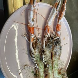 Iluka - Langoustines