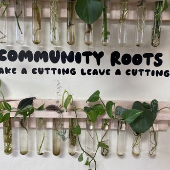 Fergusons Downtown - LV Plant Collective plant cutting library... such a brilliant idea! - Shopping Centers Near Me - Las Vegas, Nevada