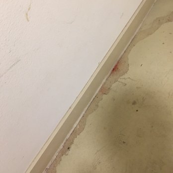 Avenue 900 - Hallways are filthy been like this since I moved in 5 months ago - Apartments Near Me - Euless, Texas