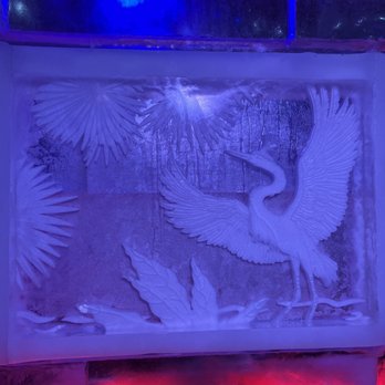 ICEBAR Orlando - Dance Clubs Near Me - Orlando, Florida