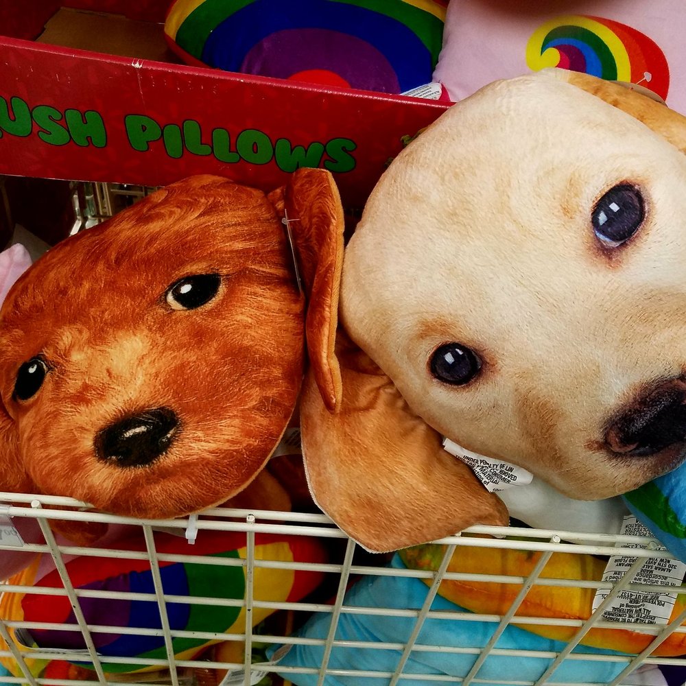 Michaels - Puppy pillows - Arts & Crafts Near Me - Southgate, Michigan Michaels - Puppy pillows - Arts & Crafts Near Me - Southgate, Michigan