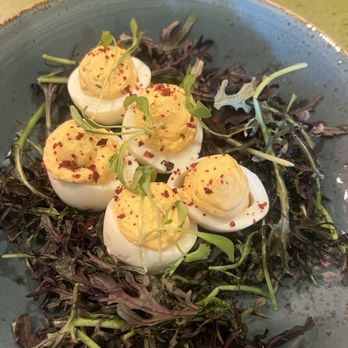 The Front Yard - Deviled Eggs with no candied bacon - Breakfast & Brunch Near Me - North Hollywood, California The Front Yard - Deviled Eggs with no candied bacon - Breakfast & Brunch Near Me - North Hollywood, California