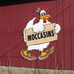 Otis Chickens, Otis, MA Otis Chickens, Otis, MA