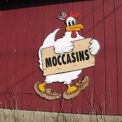 Otis Poultry Farm Store - Otis Chickens, Otis, MA