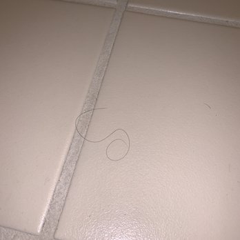 Courtyard by Marriott Parsippany - Hair on bathroom floor - Hotels Near Me - Parsippany, New Jersey Courtyard by Marriott Parsippany - Hair on bathroom floor - Hotels Near Me - Parsippany, New Jersey