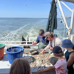 Vagabond Cruise - Shrimp Trawlin Tour in Hilton Head Island, SC