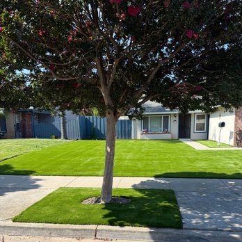 Bay Area Plus Landscaping - After - Landscaping Near Me Bay Area Plus Landscaping - After - Landscaping Near Me