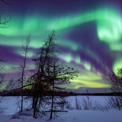 Chena Dental Care - The Northern Lights as captured by Dr. Hadfield