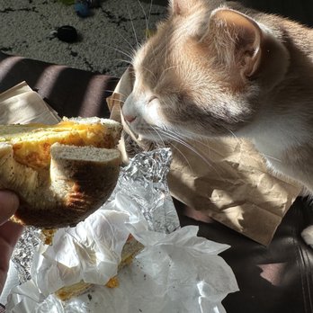 Sam's on Sunset - Everything Bagel w/ Cheese - Bagels Near Me - Los Angeles, California
