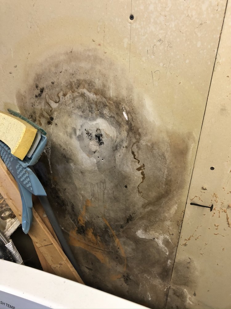 Enviro Medic - mold inspector in Fenton, MI