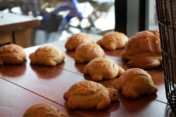 Boudin Bakery @ Fisherman's Wharf by null
