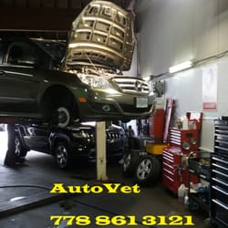 AutoVet Pro Mechanic