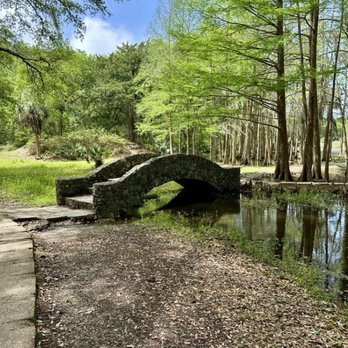 Jungle Gardens - Botanical Gardens Near Me - Avery Island, Louisiana