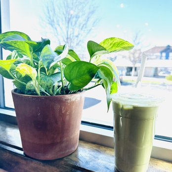 Lighthouse Donut, Coffee & Dessert Co - Matcha - Donuts Near Me - Provo, Utah Lighthouse Donut, Coffee & Dessert Co - Matcha - Donuts Near Me - Provo, Utah