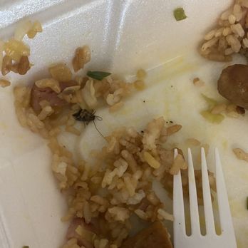 Kava's Pancake House - Roach in food - Waffles Near Me - Anchorage, Alaska