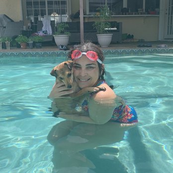SOFLO ANIMAL RESCUE - Last week, first swim - Pet Adoption Near Me - Dania Beach, Florida SOFLO ANIMAL RESCUE - Last week, first swim - Pet Adoption Near Me - Dania Beach, Florida